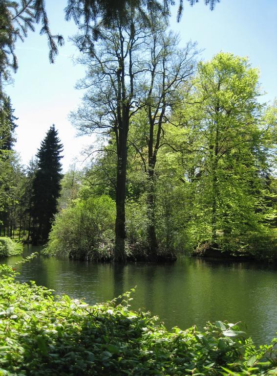Augustenhof Bad Elster Exterior foto